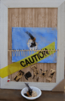 Entropy: Burning | Assemblage | 24 x 16"