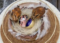 The Baby in the Egg View 1