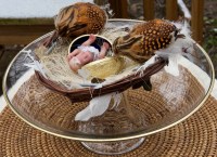 The Baby in the Egg View 2